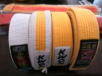 Karate Kickboxen Jiu Jitsu Judo GÜRTEL Gelb Orange Grün Blau NEU Dortmund - Hörde Vorschau