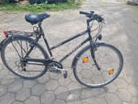 Fahrrad Damen Niedersachsen - Dissen am Teutoburger Wald Vorschau