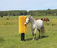 Pfahlbürste Patura Viehbürste Scheuerpfahl Scheuerpfosten Pferde Neumünster - Tasdorf Vorschau