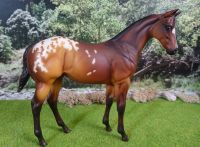 Breyer Peter Stone Pferd Sporthorse + Weanling + Performance u.a. Bayern - Fürth Vorschau