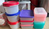 Tupperware 8x kleine Dosen Kühlschrank einfrieren Vorrat Hessen - Hanau Vorschau