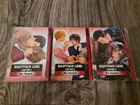 Manga Hauptfach Liebe Lektion 1-3 von Rie Honjoh (Boys Love) Niedersachsen - Grasleben Vorschau