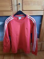 Adidas Sweat Shirt Köln - Roggendorf/Thenhoven Vorschau