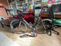 Focus Izalco Race Rennrad Ultegra Carbon Sachsen-Anhalt - Magdeburg Vorschau