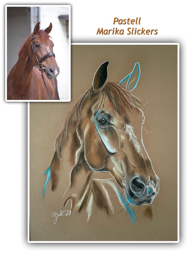 Auftragsmalerei Tierporträt mit türkis/hellblau, Pferd Hund in Kevelaer