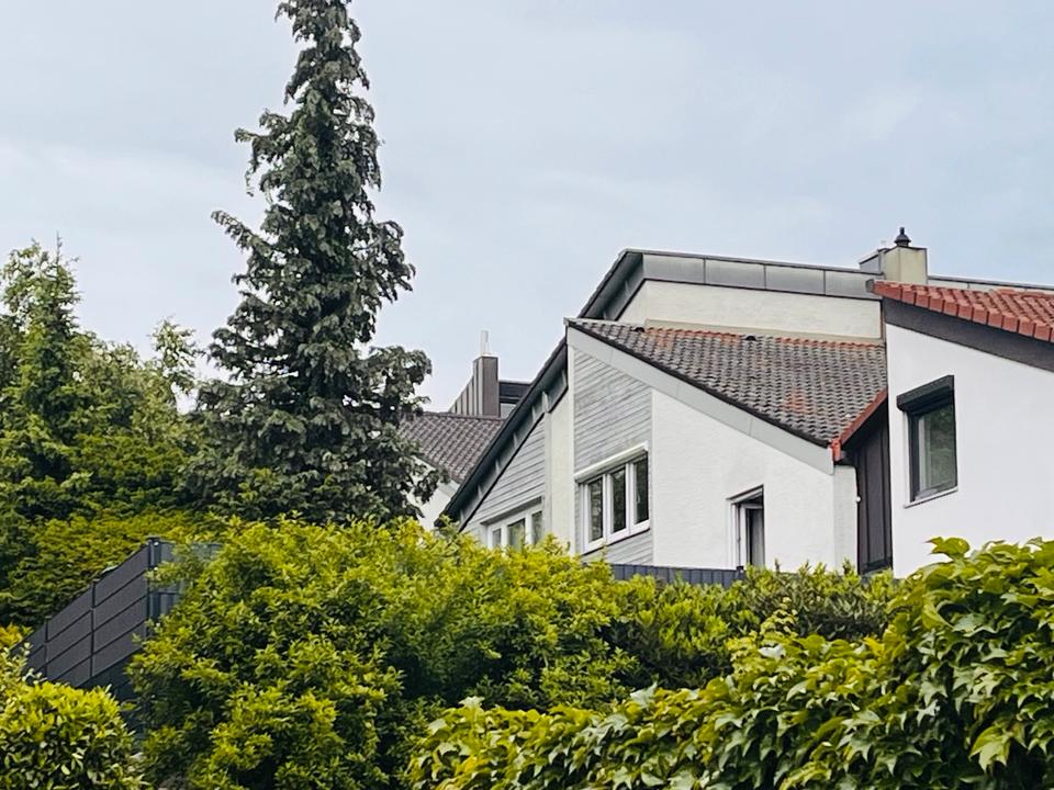 title image