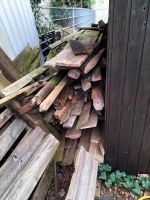 Altes Holz Thüringen - Berlingerode Vorschau