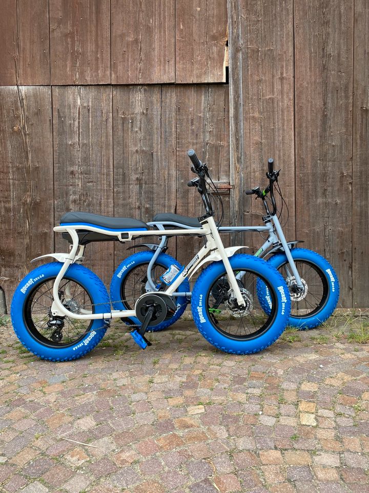 Lil Buddy Sondermodell 2024 Aktionspreis Ruff-Cycles Bosch Fatbik in Mühlhausen