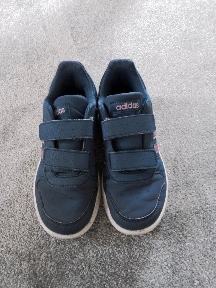Schuhe Adidas Gr.34 in Barth