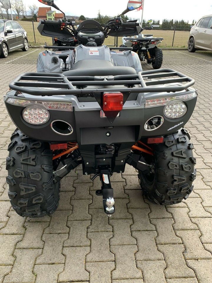 Frühlingsaktion ATV Quad Goes Iron 450 ltd. Grey/Green in Waltershausen