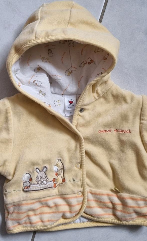 Baby Club palomino babyjacke gr.62 inkl.Versandkosten gelb in Duderstadt