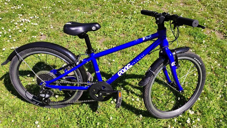 Frog 53 Kinderfahrrad; electric blue, Modell: L-FH53-EBL in Dresden