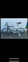 Faggin Rennrad/Fitnessrad weiß/schwarz Ultegra Nordrhein-Westfalen - Siegburg Vorschau