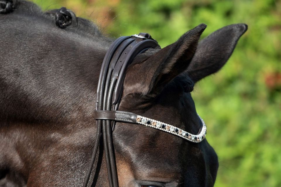 Super schöne rundgenahte Trensen mit Lack & ohne Lack €63,95 pony, vb/cob, wb/full SCHWARZ, BRAUN oder WEISSLEDER in Rehburg-Loccum