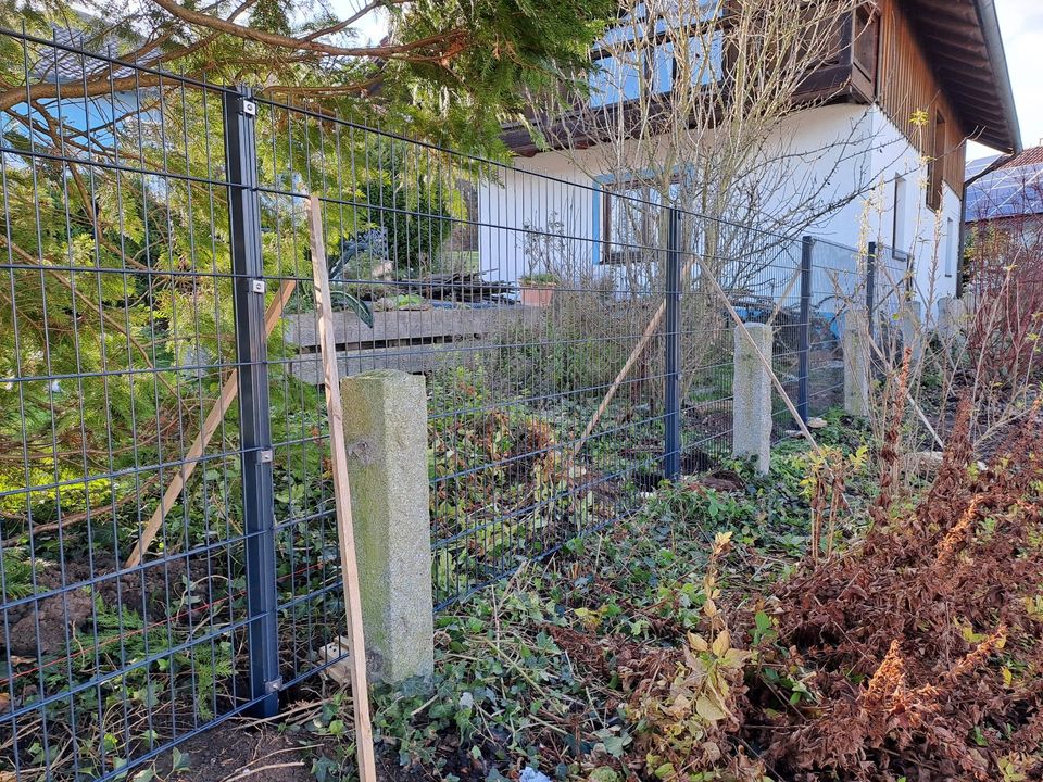 Bordsteine mit Montage für Ihren Zaun + Doppelstabmattenzaun 2D in Havelberg