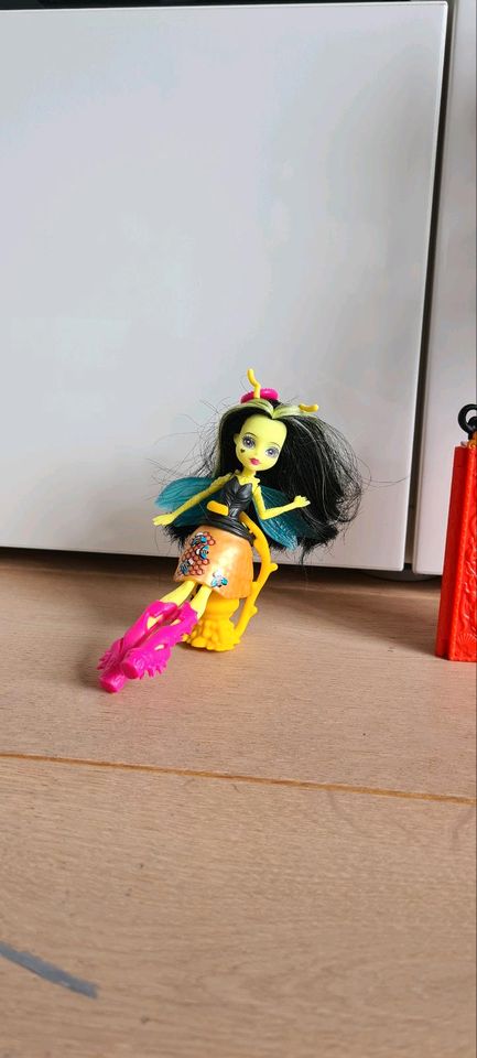 Monster High normal und zum Selbstgestalten in Sankt Augustin