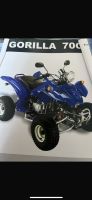 Quad Gorilla 200cc Hessen - Lohfelden Vorschau