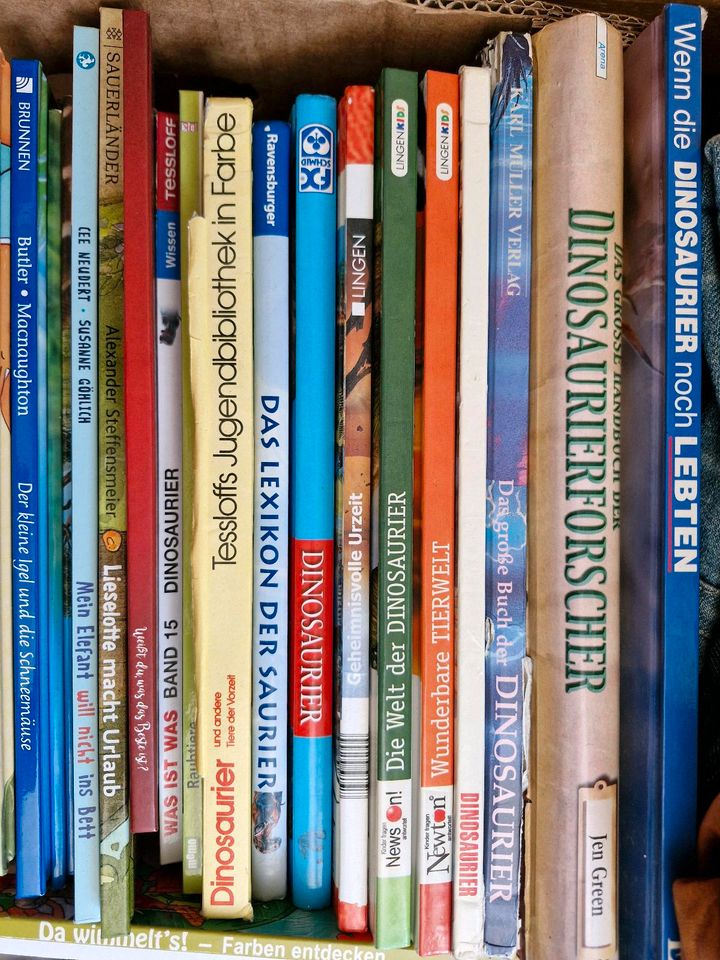 1 Kiste voll Kinderbücher in Burgbernheim