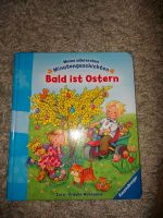 Kinderbuch Bald ist Ostern 18 Monate Hessen - Schauenburg Vorschau