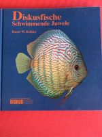 Diskusfische - Schwimmende Juwele Schleswig-Holstein - Flensburg Vorschau