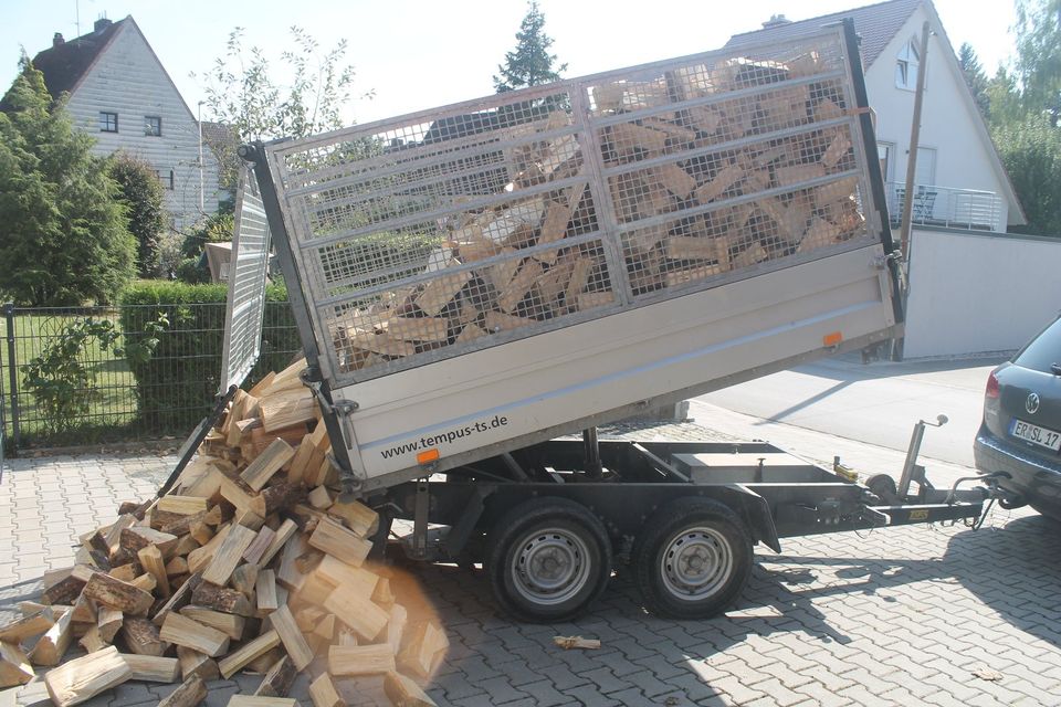 Brennholz Kaminholz Weichholz Hartholz Buche geliefert trocken in Nürnberg (Mittelfr)