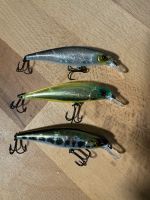 Illex Squad Minnow 80 Squadminnow Bochum - Bochum-Wattenscheid Vorschau