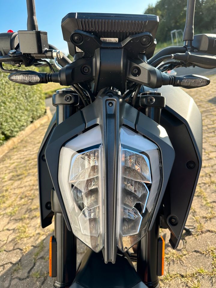 KTM Duke 125 - VB - kurzer Kennzeichenhalter - wie NEU in Sonnefeld