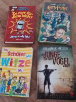 Jeff Kinney und andere Bücher Nordrhein-Westfalen - Lengerich Vorschau