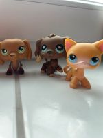 Littlest pet shop Harburg - Hamburg Marmstorf Vorschau