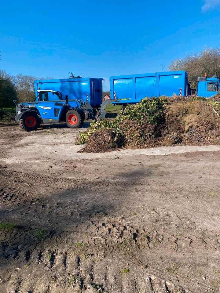 Entsorgung Gartenabfälle Container für Gestrüpp, Grünschnitt, in Reinfeld