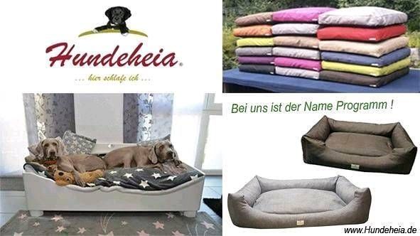 Orthopädische Hundebetten, Hundekissen direkt von Hersteller in Hennef (Sieg)
