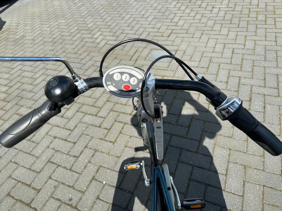 Van Raam Easy Rider Elektro Dreirad Fahrrad Therapie in Nordenham