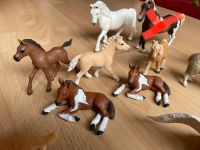 Schleich Pferde, Fohlen, Pony Nordrhein-Westfalen - Borken Vorschau