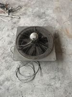 Maico Ventilator Axial DZQ 60/4 B Drehstrom Kiel - Ellerbek-Wellingdorf Vorschau