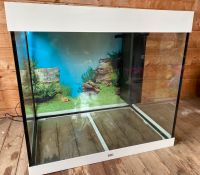 Aquarium Juwel lido 200 Nordrhein-Westfalen - Oelde Vorschau