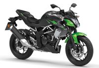 Kawasaki Z125 Neufahrzeug *alle Farben am Lager* Niedersachsen - Wetschen Vorschau