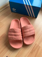 Adidas Adilette Rosa/ Pink  38 / 38,5 München - Au-Haidhausen Vorschau