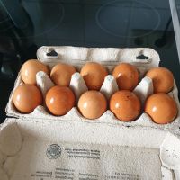 Eier,Freilaufende Hühner  Nordrhein-Westfalen - Hamm Vorschau