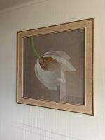 Bild Blume (Tulpe) mit Bilderrahmen Nordrhein-Westfalen - Bocholt Vorschau