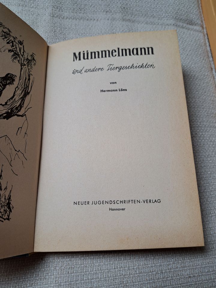 altes Kinderbuch, Mümmelmann, Hermann Löns in Mönchenholzhausen