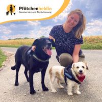 Gassiservice Dogwalking Hundebetreuung Hundesitter Nordrhein-Westfalen - Paderborn Vorschau