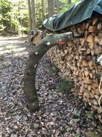 Holz Stamm Tanne 90° Bogen Baden-Württemberg - Fichtenau Vorschau