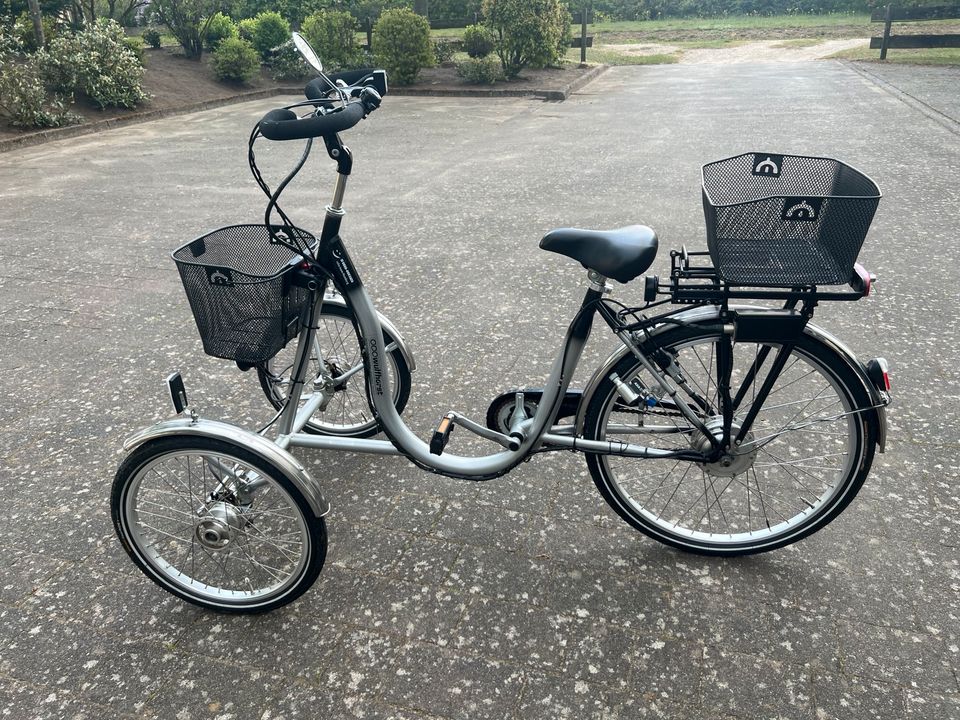 Wulfhorst Front E-Bike Dreirad Senioren in Dargun