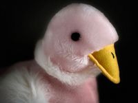 Stofftier Ente rosa Plüschtier Kuscheltier Sammlung, Sammeln Niedersachsen - Algermissen Vorschau
