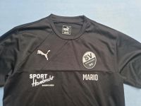 Puma SV Sandhausen Trikot Trainingsshirt Gr.L schwarz Baden-Württemberg - Güglingen Vorschau