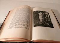 Historischer Reiseführer/Kulturführer Siena 1923 antiquarisch Sachsen - Machern Vorschau
