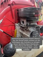 Motorgeräte Reparatur und Wartung Nordrhein-Westfalen - Fröndenberg (Ruhr) Vorschau