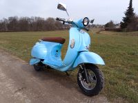 Elektro-Roller retro 45km/h THG-Prämie 350€/Jahr sichern Sachsen - Ohorn Vorschau