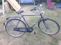 Fahrrad Gazelle Gelria Herrenrad 28" Nordrhein-Westfalen - Rheine Vorschau