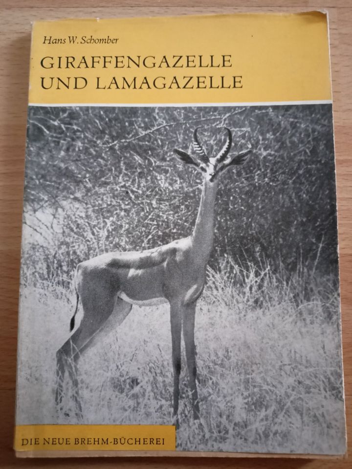 Giraffengazelle und Lamagazelle Neue Brehm Bücherei in Zeitz